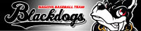 Baseball Team 『Blackdogs』